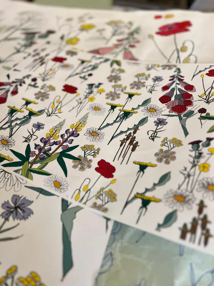 field of wildflowers